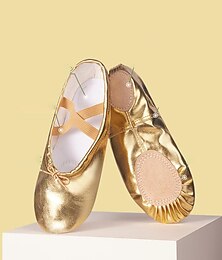 billige -Women's Ballet Shoes Belly Dance Practice Trainning Dance Shoes Stage Indoor Professional Heel Split Sole Flat Heel Elastic Band Silver - Drawstring Gold - Drawstring Silver / Girls'