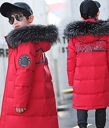 billiga -Barn Pojkar Ner Långärmad Grön Svart Rubinrött Bokstav Höst Vinter Aktiv Gata 3-13 år