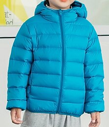 abordables -Duvet Vêtements d'extérieur Enfants Garçon Couleur unie manche longue Manteau Ecole Adorable Vert Noir Bleu Hiver Automne 7-13 ans