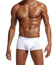 cheap -Men's 1pack Underwear Basic Panties Boxers Underwear Briefs Modal Antibacterial Leak Proof Letter Mid Waist Black White