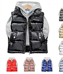 ieftine -Băieți 3D Jachetă puf pentru copii Simplu Jachetă de puf Jos Jachetă puf Fără manșon Toamnă Iarnă Activ Adorabil Copii 3-13 ani Școală Zilnic