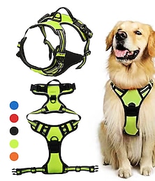 economico -cinturino pettorale per cani da compagnia tipo cane fibbia a prova di esplosione corda di trazione forniture per cani fascia toracica