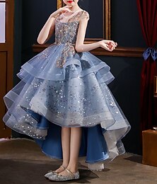 preiswerte -kinderkleidung Mädchen Party Kleid Pailletten Kurzarm Leistung Hochzeit Rüschen Gitter Modisch Prinzessin Polyester Midi abendkleider Schaukelkleid Sommer Frühling 3-12 Jahre Blau