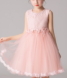 cheap -Kids Girls' Dress Solid Colored Flower Sleeveless Party Casual Lace Layered Cute Sweet Mesh Lace Tulle Pink Princess Dress 3-12 Years White Pink Purple