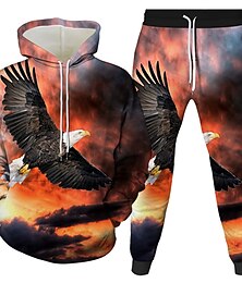 economico -Per uomo Grafico Aquila 2 pezzi Set di felpe 3D Tuta Felpe con cappuccio Manica Lunga Pantaloni lunghi Con Cappuccio Streetwear Essenziale Casual Sport & Outdoor Casuale Sportivo Stampato Primavera