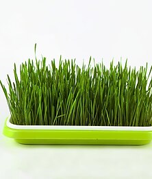 economico -vassoio per germogli di semi, senza bpa pp senza suolo grande capacità kit contenitore per germinazione coltivatore di erba di grano sano per giardino home office