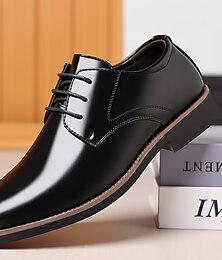 voordelige -Voor heren Schoenen Oxfords Derby-schoenen Formele Schoenen Leren schoenen Jurk instappers Wandelen Zakelijk Chinoiserie Brits Bruiloft Dagelijks Leer Imitatieleer Warm Veters Zwart Lente Herfst