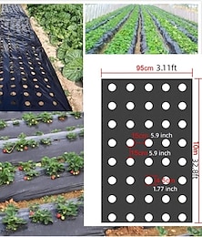 economico -pellicola di plastica con fori per piantare, pellicola barriera per il controllo delle infestanti da giardino, pacciamatura, giardinaggio traspirante, rivestimento per paesaggi agricoli per il