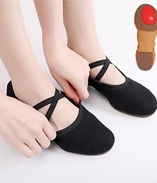 cheap -SUN LISA Women's Ballet Shoes Ballroom Shoes Training Performance Practice Heel Thick Heel Rubber Sole Lace-up Elastic Band Adults' Black