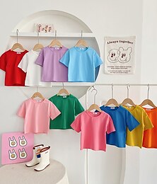 billige -Børn Pige T-shirt Helfarve Afslappet Kortærmet Crewneck Aktiv 3-7 år Sommer Farve blå Hvid Gul