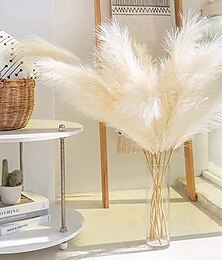 cheap -5pcs Wedding Mini Pampas Reed Grass INS Wind Simulated Flower Factory Home Decoration Wholesale Artificial Flowers