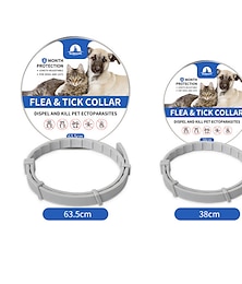 abordables -protégez votre animal de compagnie des puces en toute sécurité & tiques avec ce collier anti-acarien s pour chat m pour chien adapté à toutes les tailles