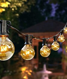 economico -3m 7,5 m Luci a Stringa 10/25/30/50 LED EL 1 Set Luce Calda Luci a Sfera / Globo Luci Festive Festa Esterno Collegabile 110-240 V