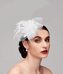 ieftine -Tulle / Feather / Net Headbands / Fascinators / Hats with 1 Piece Wedding / Special Occasion / Tea Party Headpiece