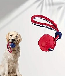 abordables -1 unidad de cuerda para perro, juguete con nudo, bola con diseño de hueso, molar para mascotas, juguete interactivo para masticar perros, suministros para mascotas
