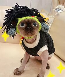 preiswerte -Hund Katze Bandanas & Hüte Mode Cool Winter Weich Waschbar Bequem Halloween Outdoor Alltagstauglich Hundebekleidung for Bichon Frise Zwergspitz Baby Haustier Papillon Klein