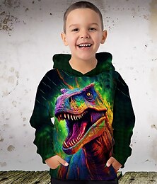 cheap -Boys 3D Graphic Animal Dinosaur Hoodie Long Sleeve 3D Print Summer Spring Fall Fashion Streetwear Cool Polyester Kids 3-12 Years Outdoor Casual Daily Regular Fit