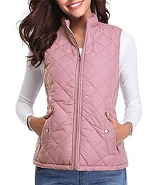 economico -Per donna Gilet Strada Informale Casual / quotidiano Autunno Inverno Cappotto Standard Contemporaneo Moda Informale Giacca Senza maniche Tinta unica Con tasche Blu chiaro Rosso violaceo Mare blu