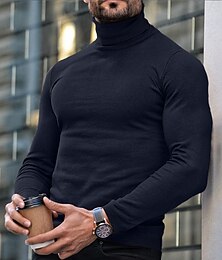 preiswerte -Herren Rollkragenpulli Pullover Gerippt Stricken Standard gestrickt Glatt Rollkragen Moderne zeitgenössische Schmaler Schnitt Arbeit Freizeitskleidung Bekleidung Herbst Winter Wein Schwarz M L XL