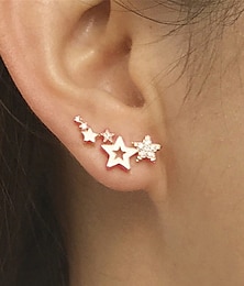 preiswerte -Damen Ohrringe Modisch Outdoor Stern Ohrring