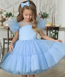 economico -Bambino Da ragazza Vestito da festa Tinta unica Manica corta Prestazioni Matrimonio Compleanno Pizzo Adorabile Da principessa Bellissimo Cotone Medio Vestito da festa Primavera Autunno Inverno 3-12