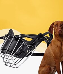 abordables -Chien Chat Muselières Mode Décontractées Hiver Etanche Respirable Doux Lavable Confortable Casual Quotidien Bichon Frisé Loulou de Poméranie Bébé Animal Papillon