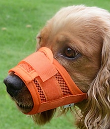 economico -Prodotti per cani Prodotti per gatti Museruole Di tendenza Informale Inverno Impermeabile Traspirante Morbido Lavabile Comodo Casual / quotidiano Bichon Frise Pomeriana cuccioli Farfalla