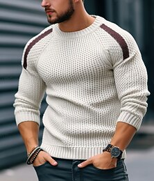 abordables -Homme Pull Pull court A côtes Crocheté Tricoter Normal Tricoté Bloc de couleur Col Ras du Cou Garder au chaud Moderne contemporain Usage quotidien Sortie Vêtement Tenue Manche raglan Automne Hiver