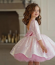 voordelige -Kinderen Voor meisjes Feestjurk Effen Kleur Lange mouw Formeel Prestatie Bruiloft Netstof Prinses Zoet Netstof Halverwege kuit Schede jurk Roze prinsessenjurk Tule-jurk Zomer Lente Herfst 2-12 jaar