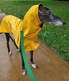 preiswerte -Hund Katze Mäntel Jacke Regenmantel Regenjacke Mode Niedlich Winter Wasserdicht Warm Weich Waschbar Bequem Outdoor Alltagstauglich Hundebekleidung for Husky Labrador Alaskan Malamute Golden Retriever