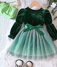 preiswerte -Baby Mädchen Kleid Feste Farbe Langarm Schulanfang Leistung Krawattenknoten Aktiv bezaubernd Täglich Polyester Midi Casual kleid Frühling Herbst Winter 3-7 Jahre Blau Grün