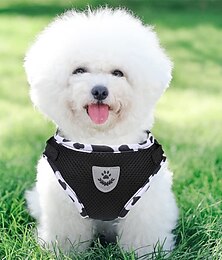 abordables -Chien Chat Harnais lumineux Laisse en cours d'exécution Laisse d'entraînement Réfléchissant Portable Respirable Extérieur Marche Couleur Pleine