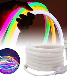 economico -1 m 2m 3M Luci al neon 150 LED Neon flessibile Bianco caldo Bianco Rosso Strisce LED Creativo All'aperto Impermeabile 220-240 V