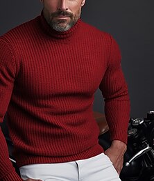 abordables -Homme Chandails de Noël Pull à col roulé Pull Tricot A côtes Tricoter Hauts réguliers Basique Plein Col Roulé Garder au chaud Moderne contemporain Usage quotidien Sortie Vêtement Tenue Automne hiver