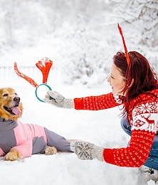 preiswerte -Hunde Katzen Chirurgie-Wiederherstellungsanzug Modisch Brautkleider schlicht Winter Warm Atmungsaktiv Weich Waschbar Komfortabel Weihnachten Halloween Outdoor Casual Hundebekleidung for Bichon Frise