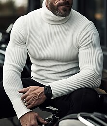 preiswerte -Herren Rollkragenpulli Pullover Strickpullover Gerippt Stricken Normale Oberteile Entkernt Glatt Rollkragen warm halten Moderne zeitgenössische Casual Freizeitskleidung Bekleidung Herbst Winter