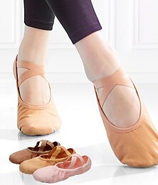 ieftine -Pentru femei Pantofi de Balet Pantofi De Dans Bal Antrenament Yoga Balerini Moale Jumătate Talpă Toc Drept Vârf Închis Elastic Adulți Cămilă Roz Cafea