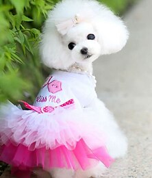 ieftine -haine noi de vară pentru câini rochie prințesă ursuleți haine cu două picioare din plasă fustă iepuraș din dantelă