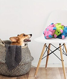 abordables -Jouets de mastication Jouet interactif Jouet de grincement Frisbees avec Durable Relâcher la pression Dressage d'animaux Jouet de corde de dentition Jouet de dentition pour Chien Chat Intérieur