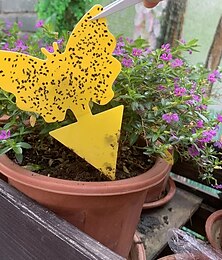 voordelige -20 stuks fruitvlieg vangplaten insectenpapier keuken kleine insectenval stickers gele lijm kleverige vliegenvanger