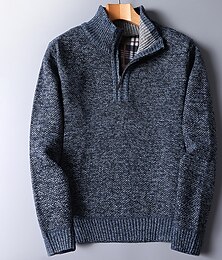 preiswerte -Herren Pullover Strickpullover Pullover mit Viertelreißverschluss Gerippt Stricken Standard Strick Viertel Postleitzahl Glatt Ständer warm halten Moderne zeitgenössische Freizeitskleidung Ausgehen