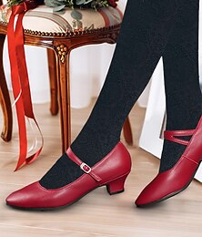 levne -Dámské Podpatky Lodičky Nazouváky Mary-jane Vintage Boty Komfortní boty Párty Venkovní Denní Nízký tenký Oblá špička Elegantní Vinobraní Módní Kůže Spona Kotníkový řemínek Stříbrná Tmavě červená Černá