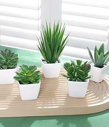 ieftine -5 buc/set de plante veșnic verzi care simulează mini-plante suculente din plastic în ghivece potrivite pentru decorarea casei, restaurantului, pervazului de birou, decorare a raftului, decorare nuntă