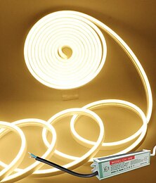 abordables -Bande lumineuse LED au néon avec alimentation étanche IP65, corde en silicone extérieure 12 V, 5 m, 16,4 pieds, 600 SMD, flexible et étanche, convient pour bar signature, maison, cuisine, chambre à