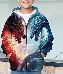 levne -Chlapecké 3D Drak Kapuce Kabát Svrchní oblečení Dlouhý rukáv Podzim Zima Aktivní Šik ven Chladný Děti 3-12 let Zip ulice Denní Běžný