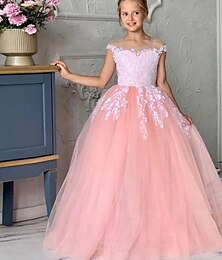 economico -Bambino Da ragazza Vestito da festa Tinta unica Senza maniche Prestazioni Retato Da principessa Dolce Retato Fino a metà polpaccio Vestito tubino Abito in tulle Estate Primavera Autunno Bambini Rosa