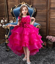 Χαμηλού Κόστους -Παιδιά Κοριτσίστικα Φόρεμα Φόρεμα για πάρτυ Συμπαγές Χρώμα Πούλια Λουλούδι Αμάνικο Γάμου Γενέθλια Φόρεμα βάπτισης Πριγκίπισσα Πανεμορφη Δίχτυ Φόρεμα για κορίτσια λουλουδιών Καλοκαίρι Άνοιξη Φθινόπωρο