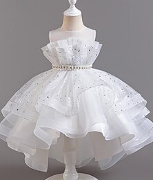 Недорогие -Платье для девочек-цветочниц, детское праздничное платье для девочек, вечернее платье с цветочным принтом, асимметричное платье, свадебное сетчатое платье с круглым вырезом, очаровательное платье с