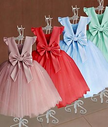 levne -Děti Dívčí Šaty Pevná barva Bez rukávů Formální Výkon Párty Módní Rozkošný Polyester Léto Jaro Podzim 2-12 let Světlá růžová Rubínově červená Vodní modrá