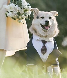 billiga -bröllop husdjur smoking falsk tvådelad set med slips uppsättning corgi chai kostym bröllop husdjur klänning
